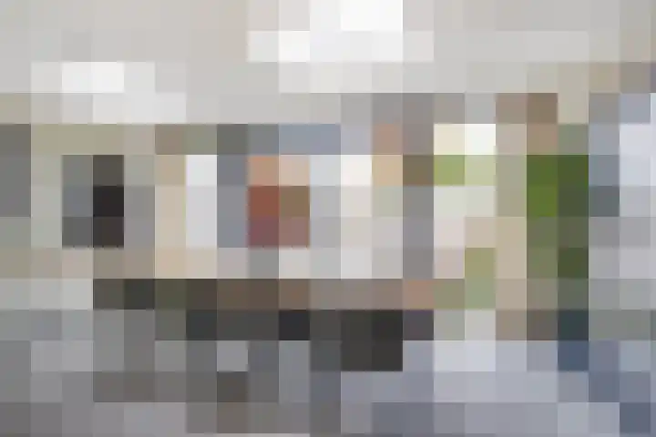 Meijgatenstraat 22 Stein thumbnail 24