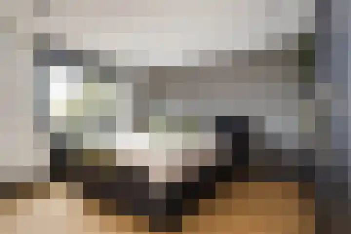Meijgatenstraat 22 Stein thumbnail 32