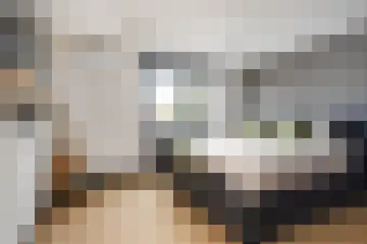 Meijgatenstraat 22 Stein thumbnail 33