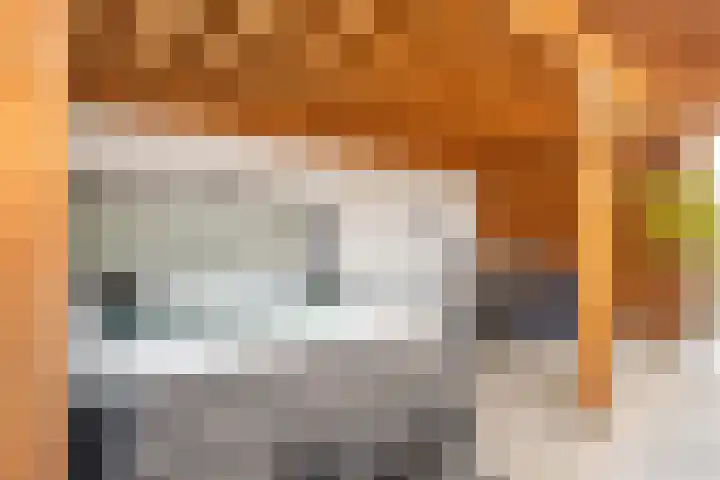 Meijgatenstraat 22 Stein thumbnail 41