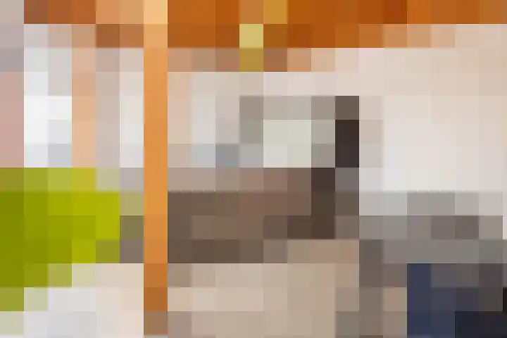 Meijgatenstraat 22 Stein thumbnail 43