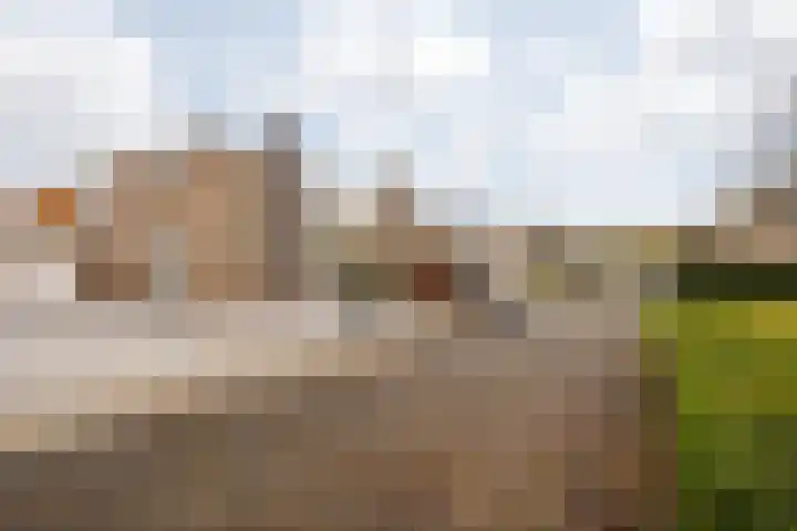 Meijgatenstraat 22 Stein thumbnail 9