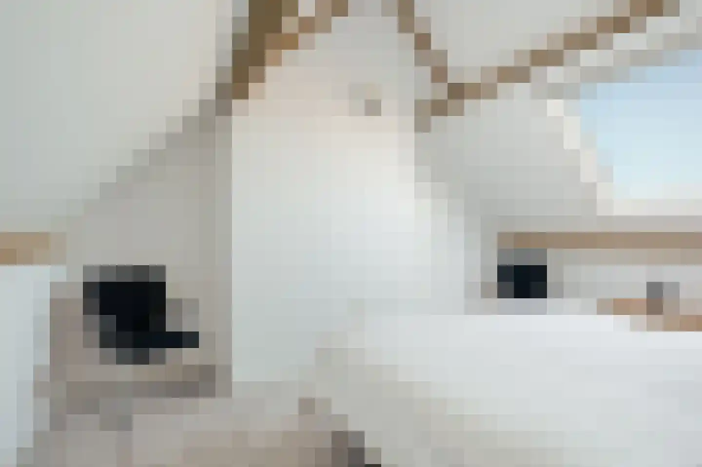 Meijgraaf 13 Schijndel thumbnail 36