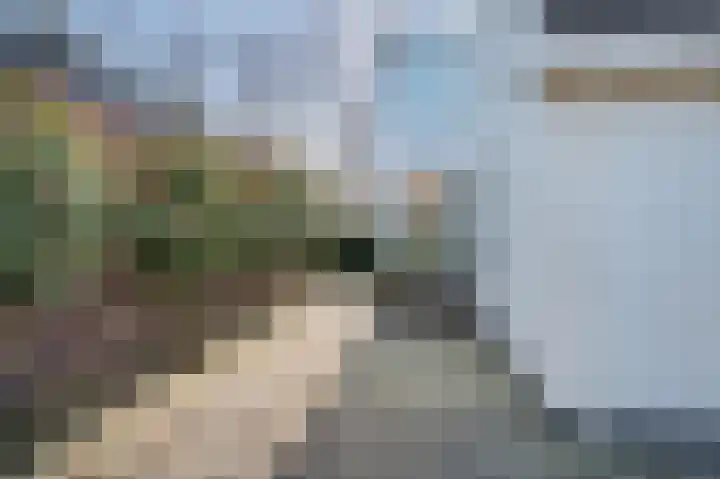 Meijgraaf 13 Schijndel thumbnail 45