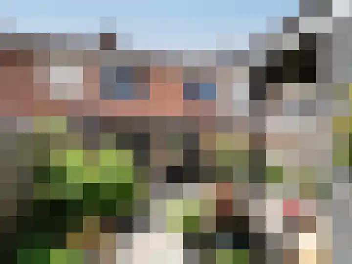 Meijhorst 1220 Nijmegen thumbnail 24