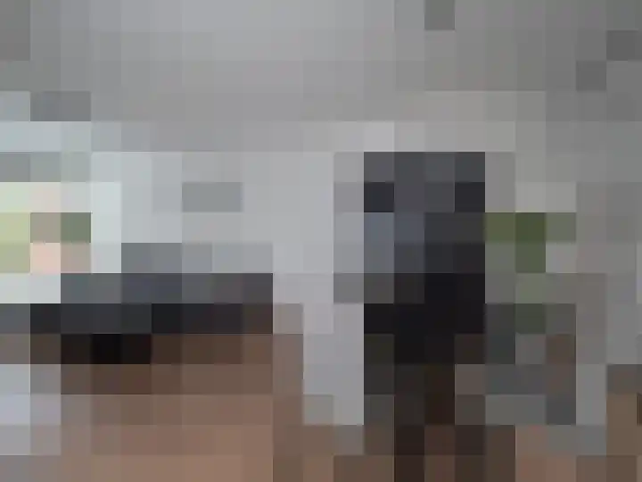 Meijhorst 1220 Nijmegen thumbnail 6