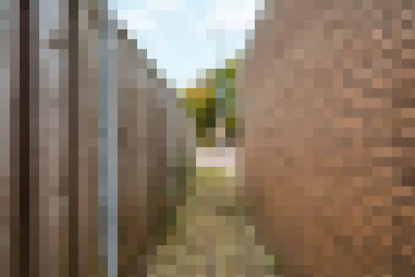 Meijhorst 1325 Nijmegen thumbnail 35