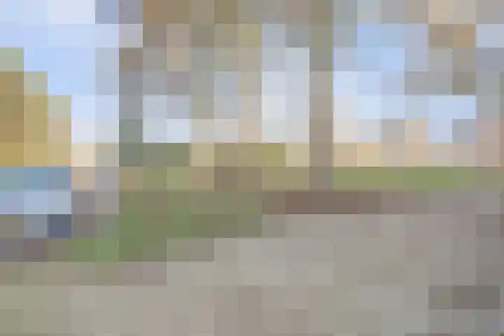 Meijhorst 3040 Nijmegen thumbnail 28