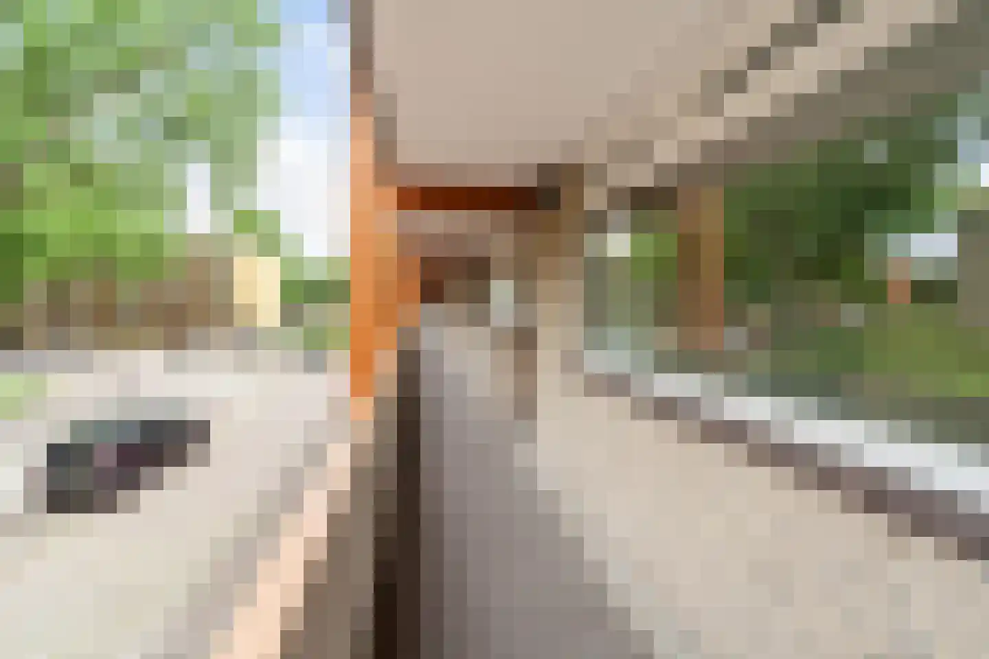 Meijhorst 3130 Nijmegen thumbnail 8