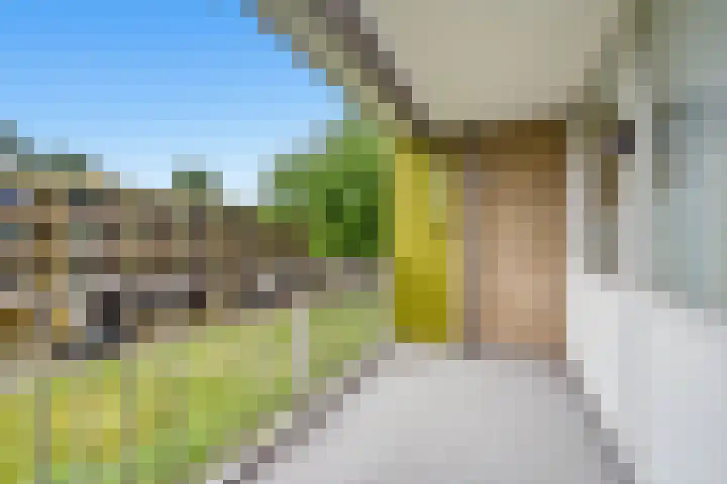 Meijhorst 3131 Nijmegen thumbnail 20