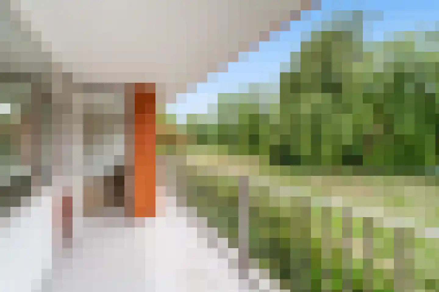 Meijhorst 3134 Nijmegen thumbnail 22