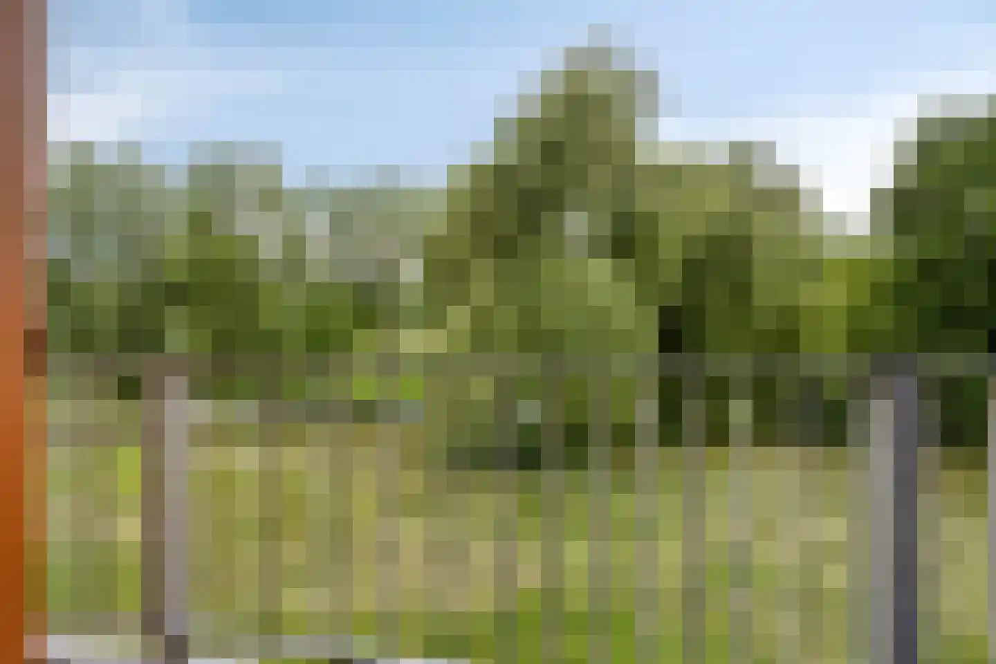 Meijhorst 3150 Nijmegen thumbnail 26