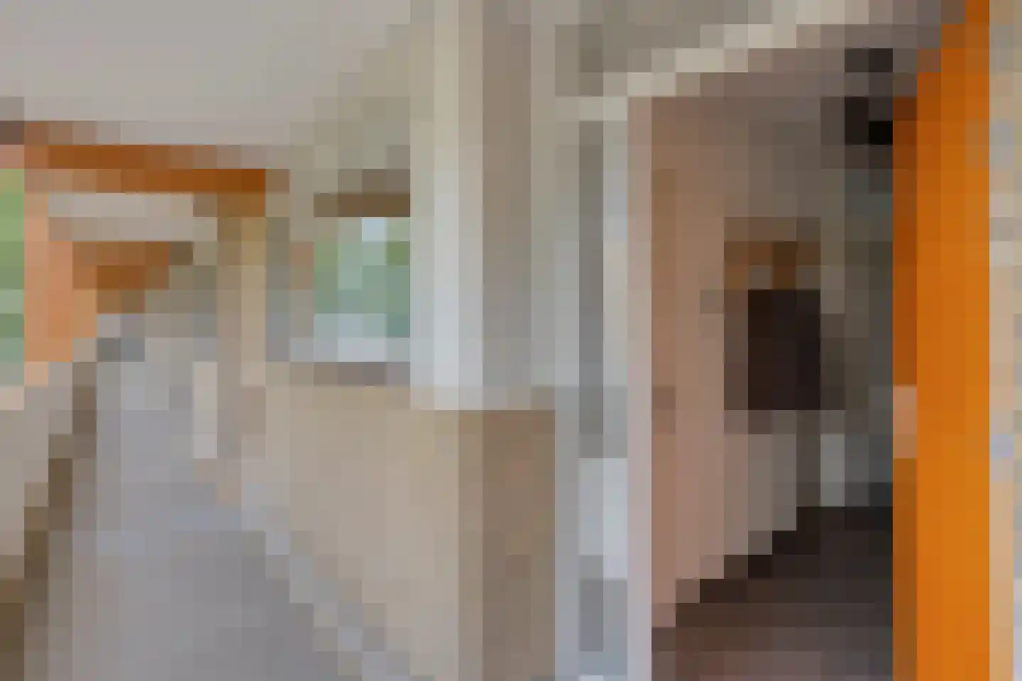 Meijhorst 3150 Nijmegen thumbnail 8