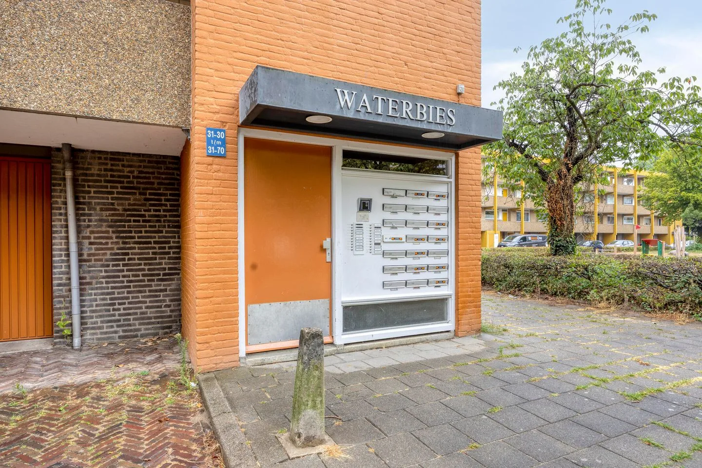 Meijhorst 3166 Nijmegen thumbnail 5