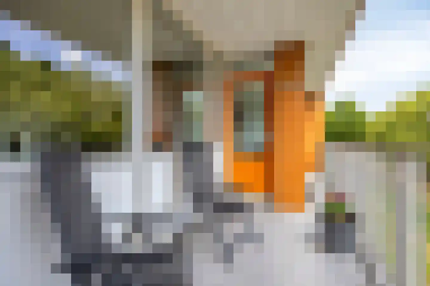 Meijhorst 3339 Nijmegen thumbnail 18