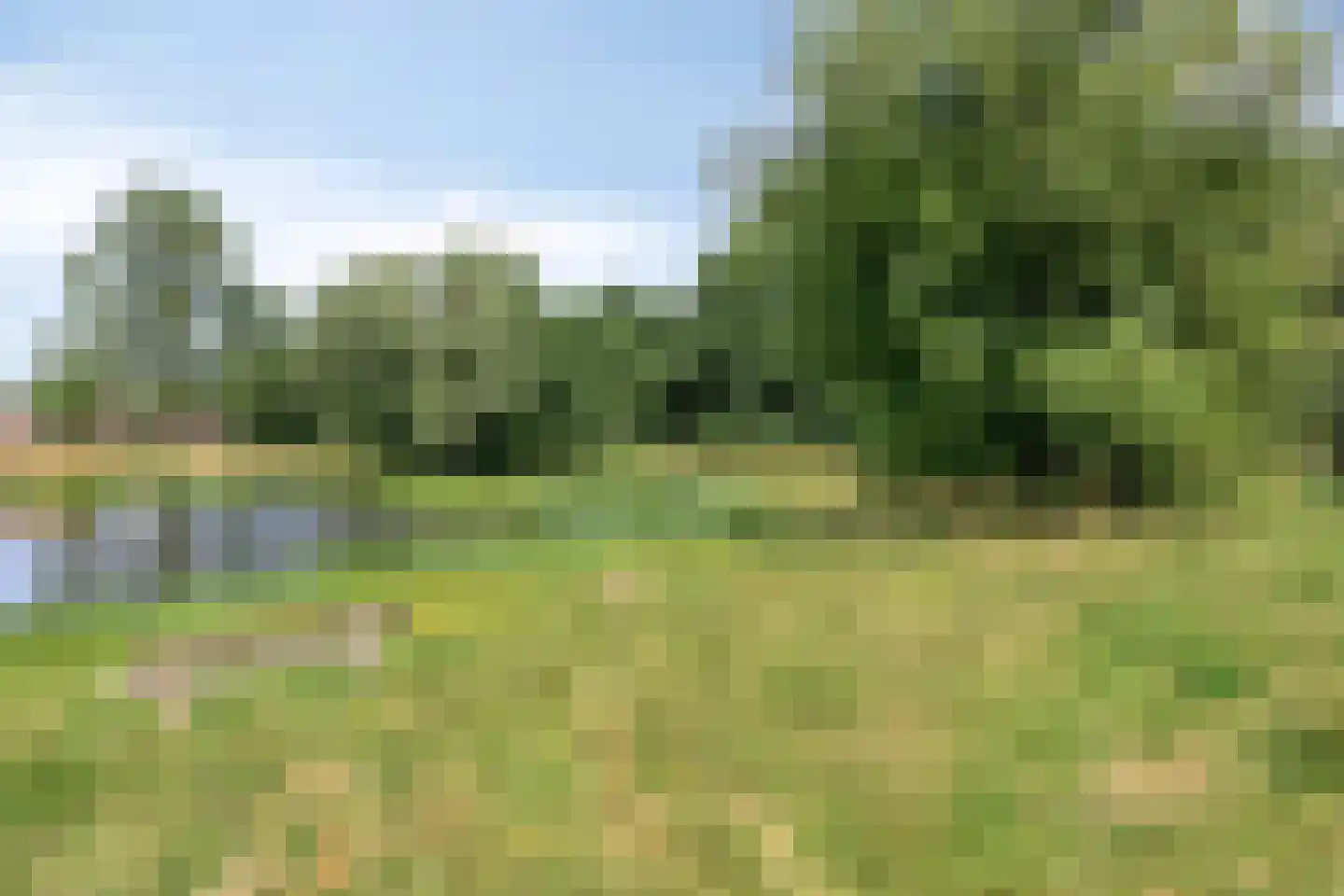 Meijhorst 3339 Nijmegen thumbnail 33