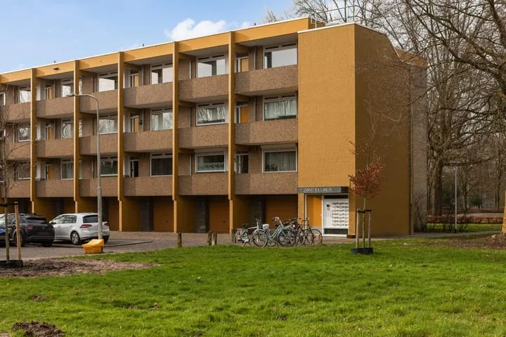 Meijhorst 3350 Nijmegen thumbnail 29