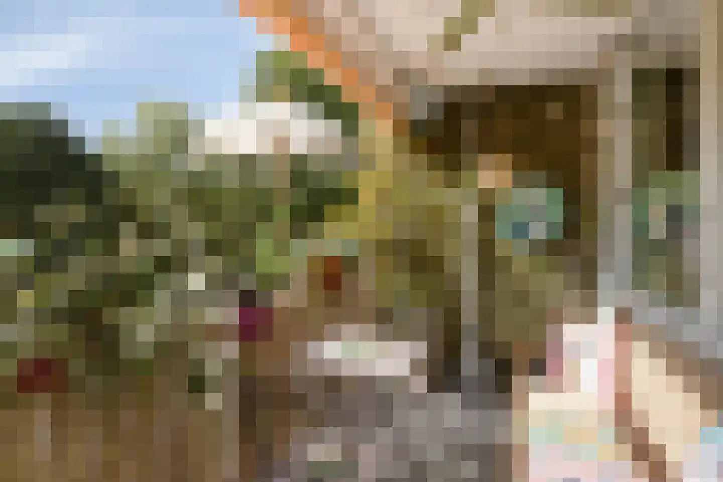 Meijhorst 3356 Nijmegen thumbnail 26