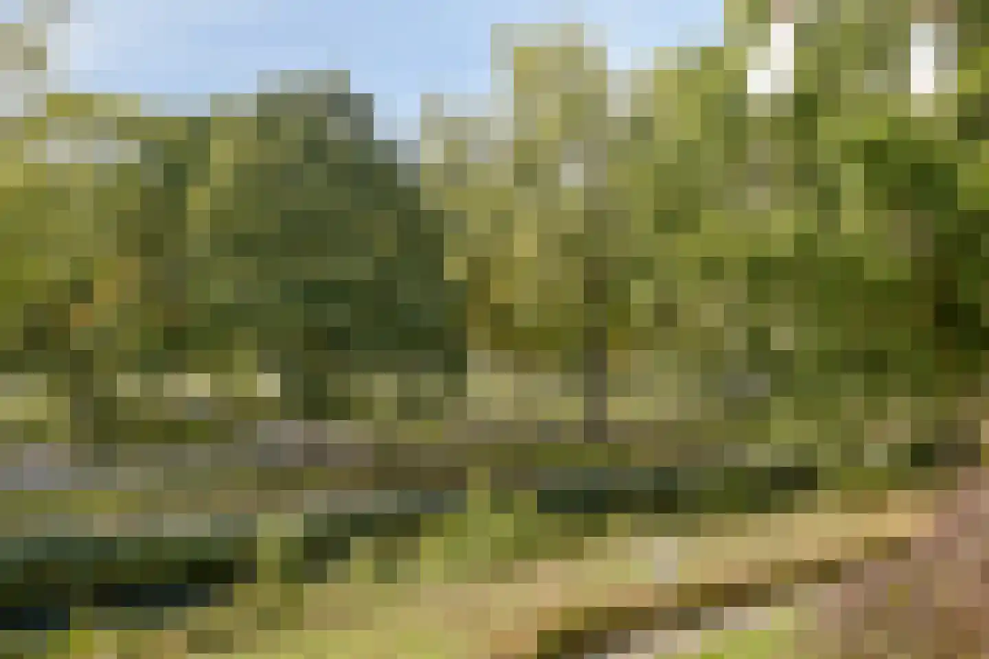 Meijhorst 3356 Nijmegen thumbnail 28