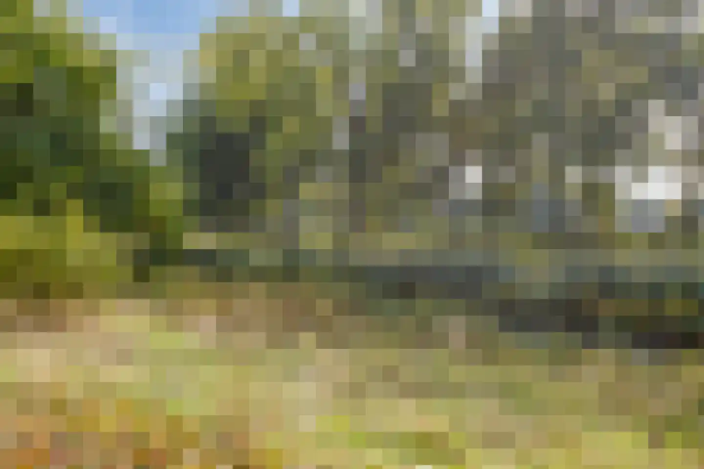 Meijhorst 3356 Nijmegen thumbnail 31