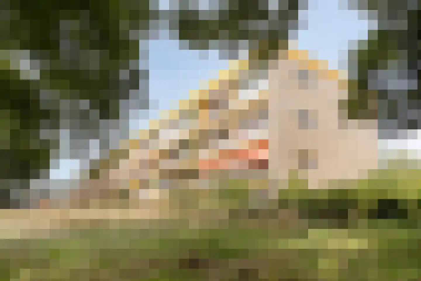 Meijhorst 3356 Nijmegen thumbnail 6