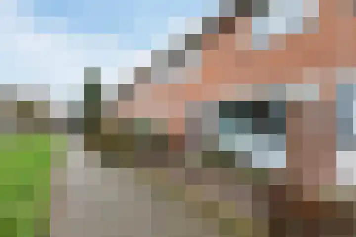 Meijhorst 5256 Nijmegen thumbnail 50