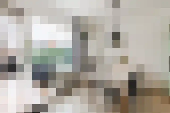 Meijhorst 5256 Nijmegen thumbnail 7