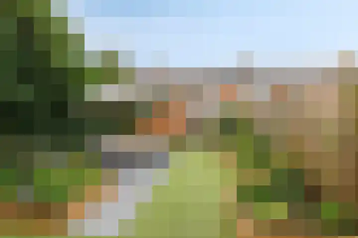 Meijhorst 5266 Nijmegen thumbnail 27