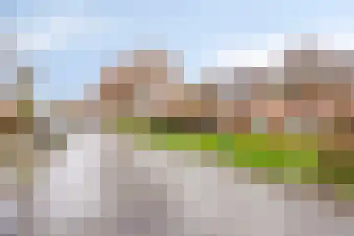 Meijhorst 5266 Nijmegen thumbnail 31