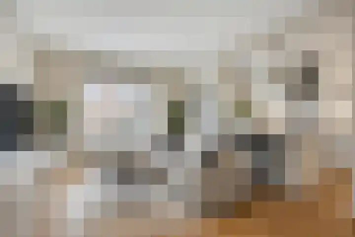 Meijhorst 5266 Nijmegen thumbnail 7