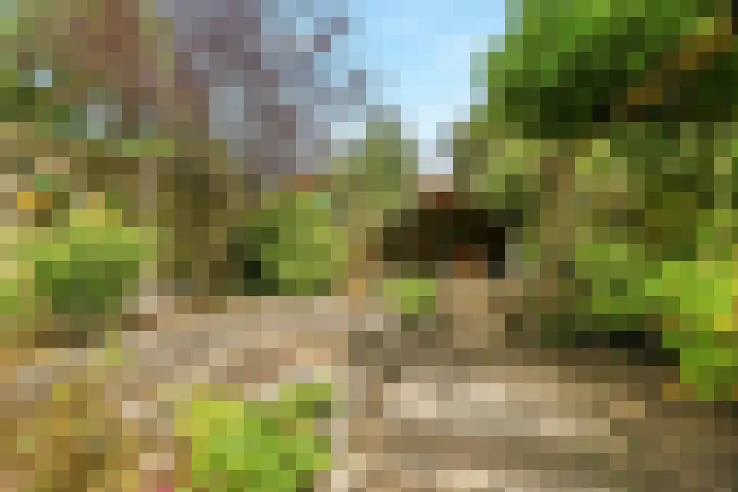 Meijhorst 6107 Nijmegen thumbnail 49