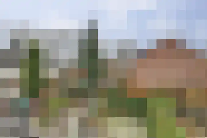 Meijhorst 6181 Nijmegen thumbnail 24