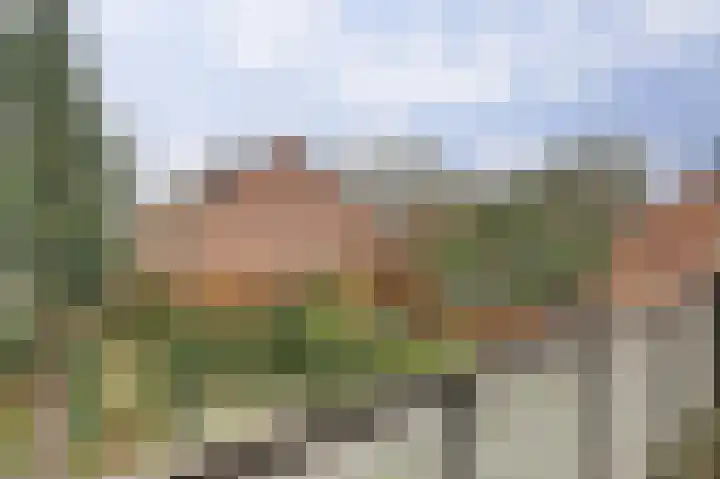 Meijhorst 6181 Nijmegen thumbnail 25