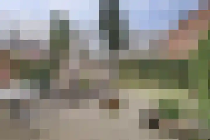 Meijhorst 6181 Nijmegen thumbnail 31