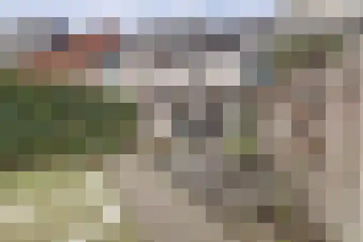 Meijhorst 6181 Nijmegen thumbnail 5