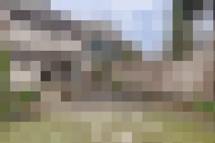 Meijhorst 6181 Nijmegen thumbnail 6