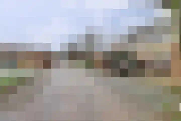 Meijhorst 6181 Nijmegen thumbnail 7