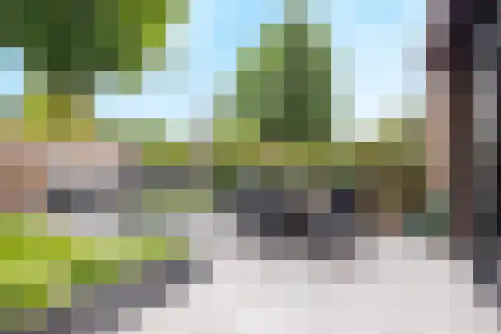 Meijhorst 6216 Nijmegen thumbnail 25