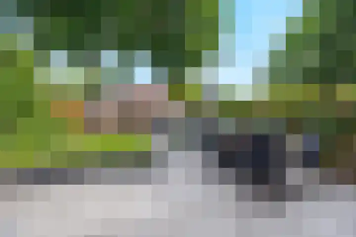 Meijhorst 6216 Nijmegen thumbnail 26