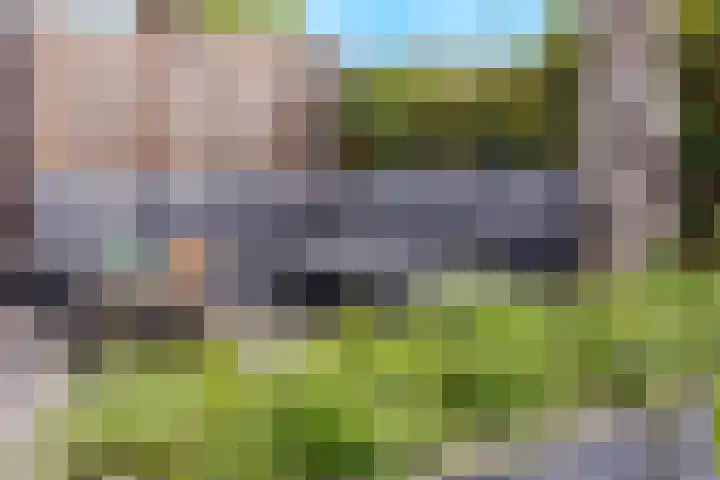 Meijhorst 6216 Nijmegen thumbnail 29
