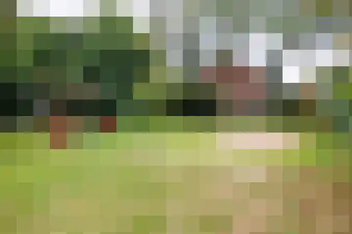 Meijhorst 6216 Nijmegen thumbnail 44
