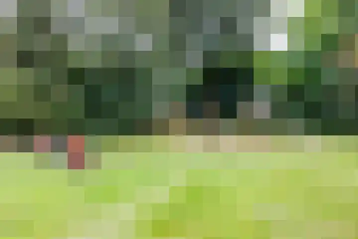 Meijhorst 6216 Nijmegen thumbnail 45