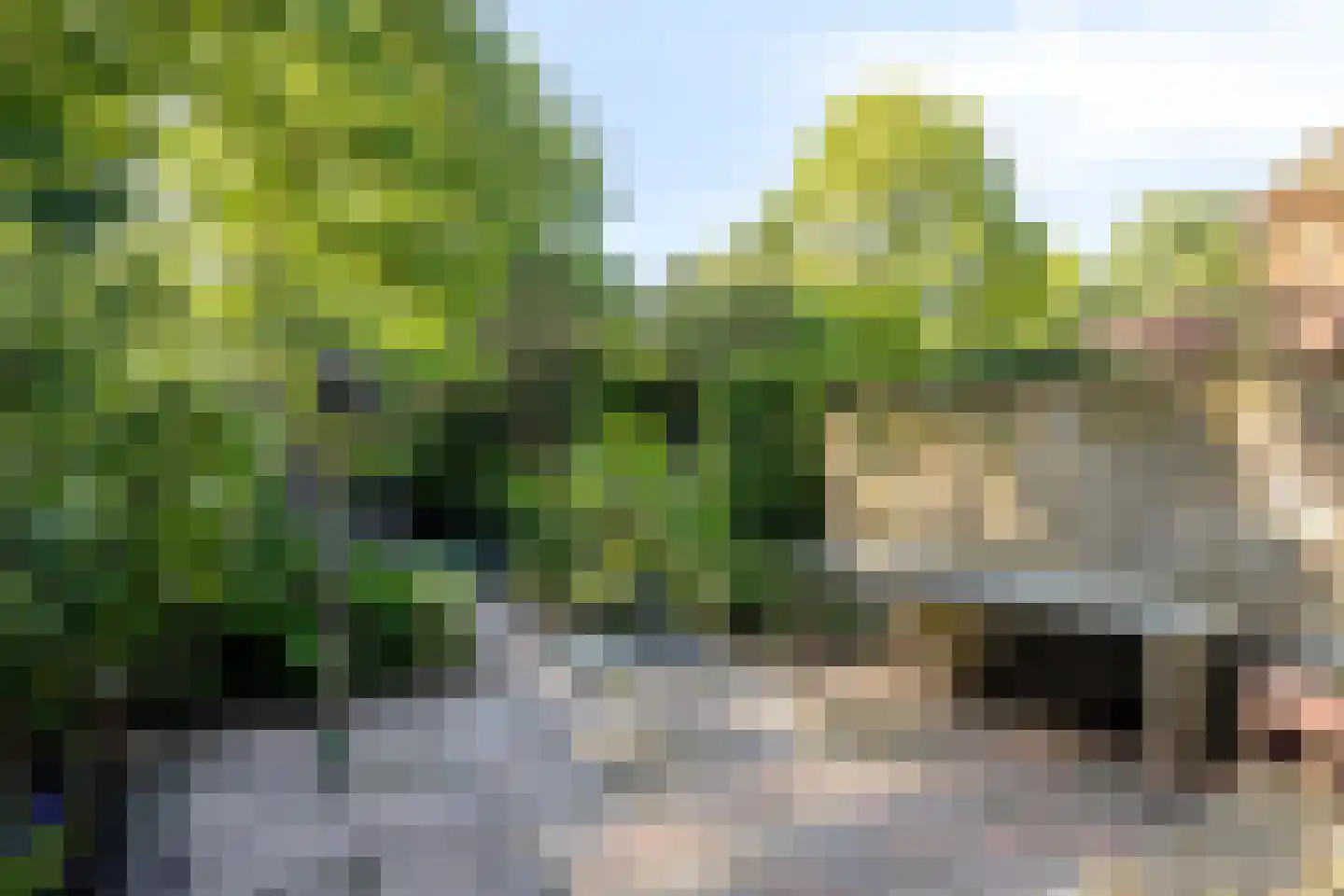 Meijhorst 6227 Nijmegen thumbnail 14