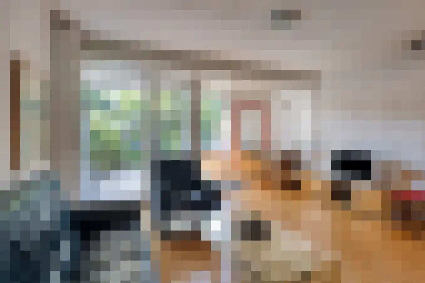 Meijhorst 6227 Nijmegen thumbnail 7