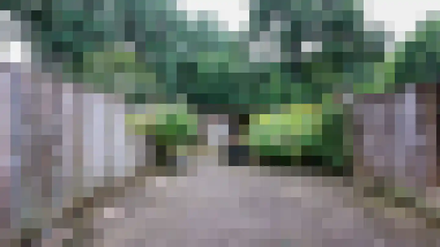Meijhorst 6233 Nijmegen thumbnail 36