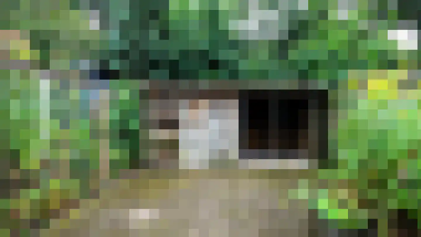 Meijhorst 6233 Nijmegen thumbnail 37