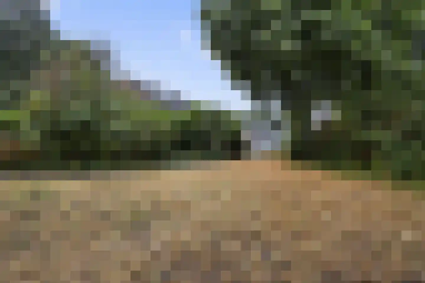 Meijhorst 6233 Nijmegen thumbnail 43