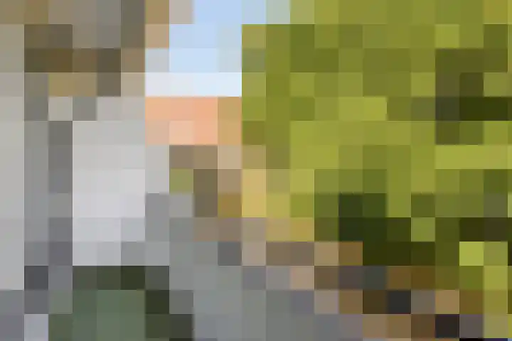 Meijhorst 9104 Nijmegen thumbnail 19