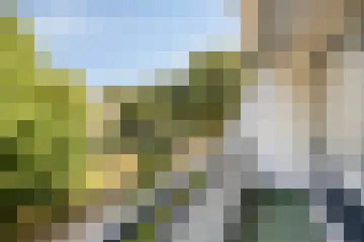 Meijhorst 9104 Nijmegen thumbnail 20