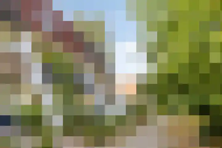 Meijhorst 9104 Nijmegen thumbnail 43
